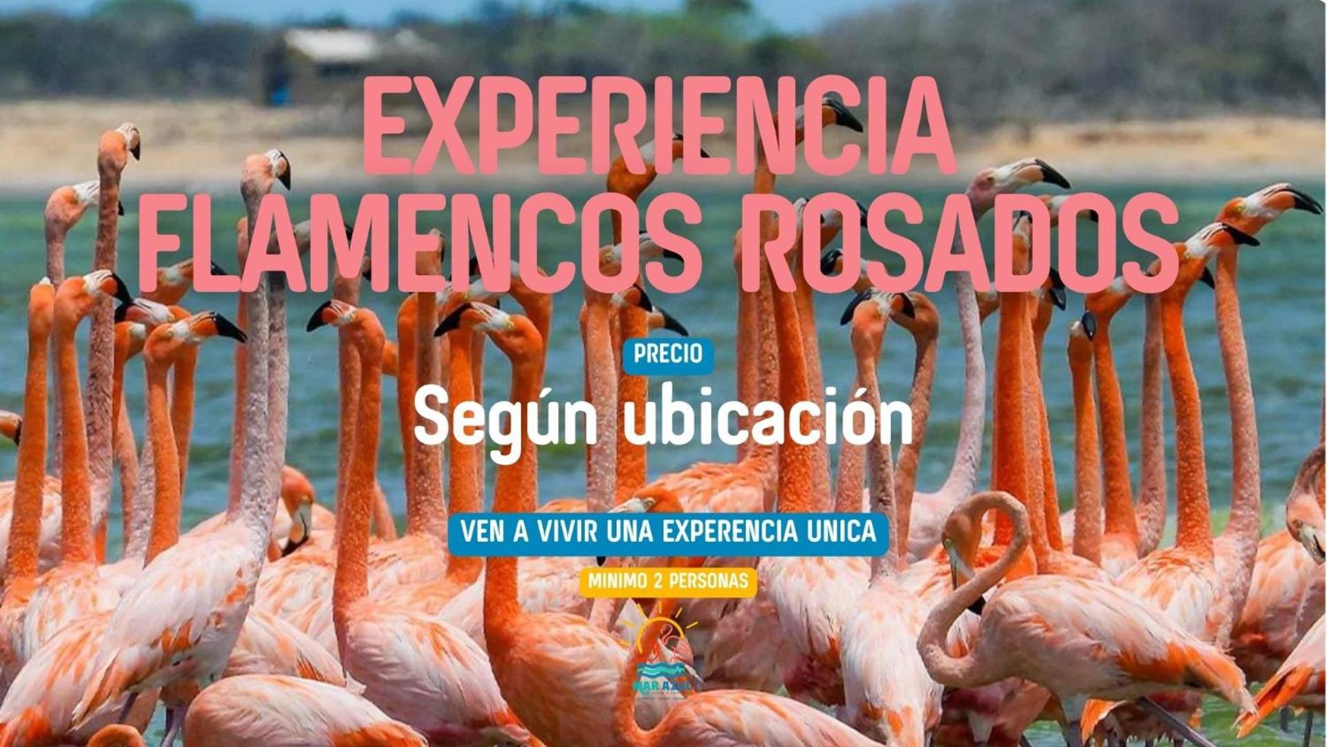 Mar Azul - Playa Y Turismo * Camarones